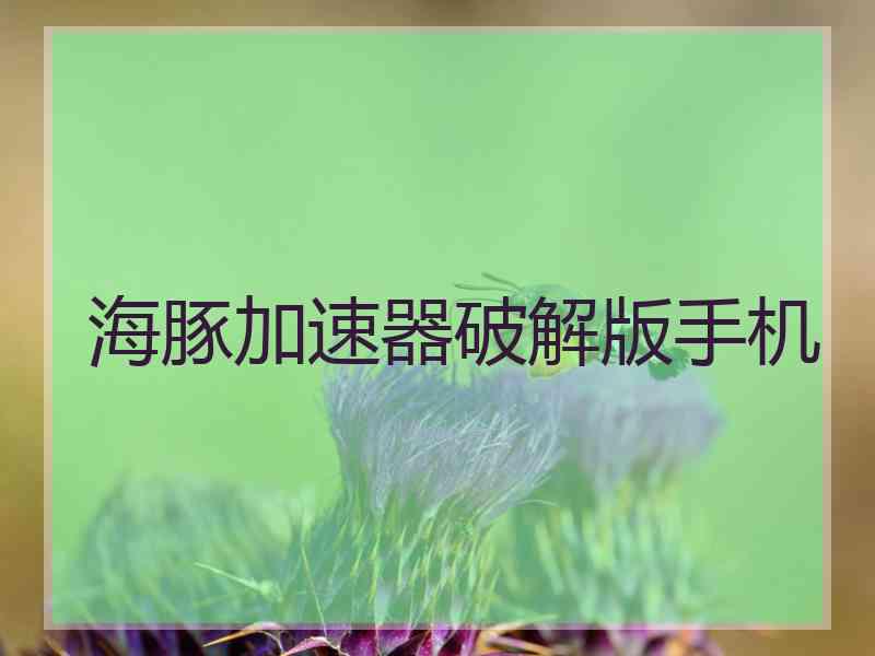 海豚加速器破解版手机