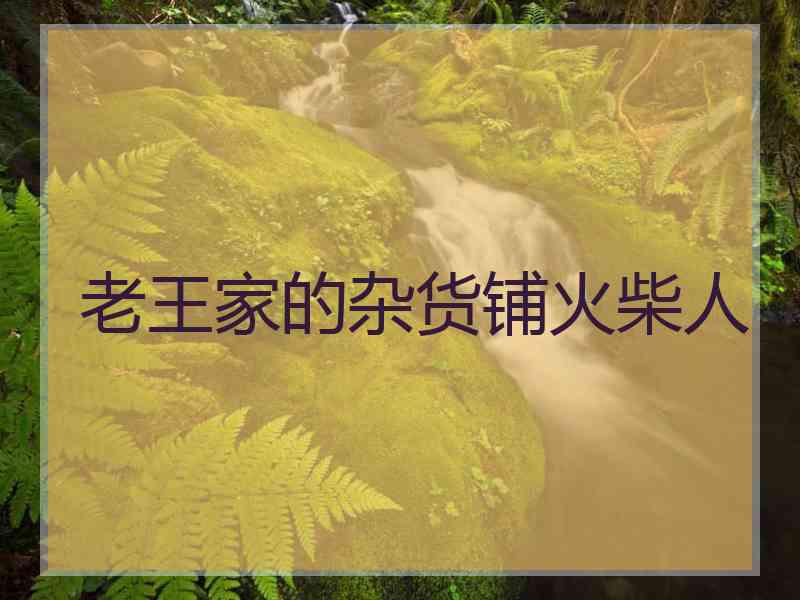 老王家的杂货铺火柴人