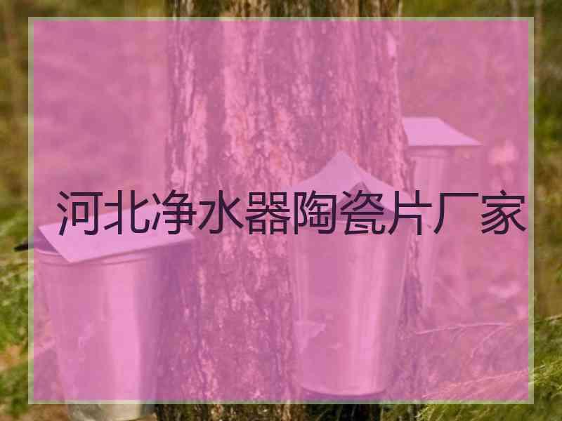 河北净水器陶瓷片厂家