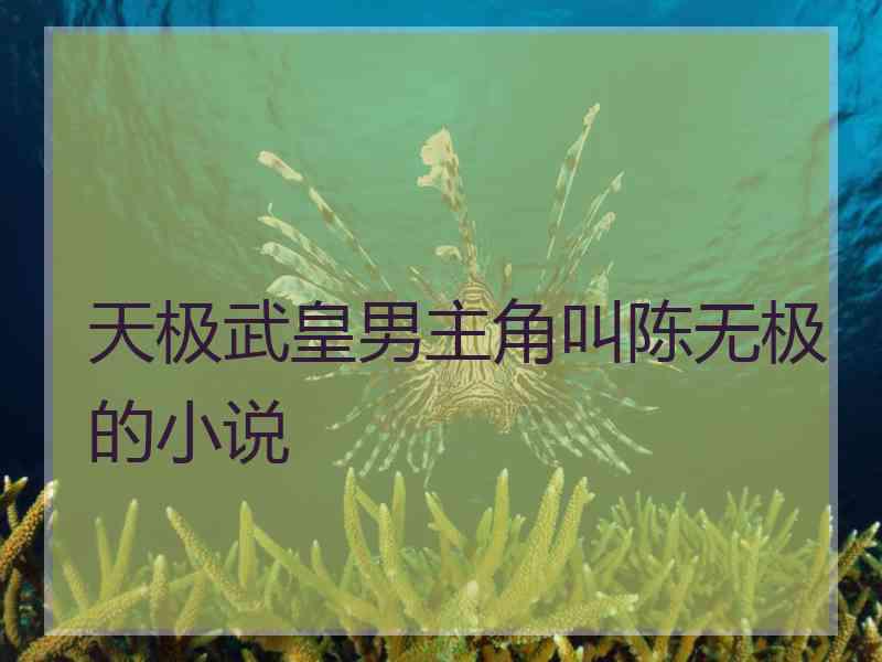 天极武皇男主角叫陈无极的小说