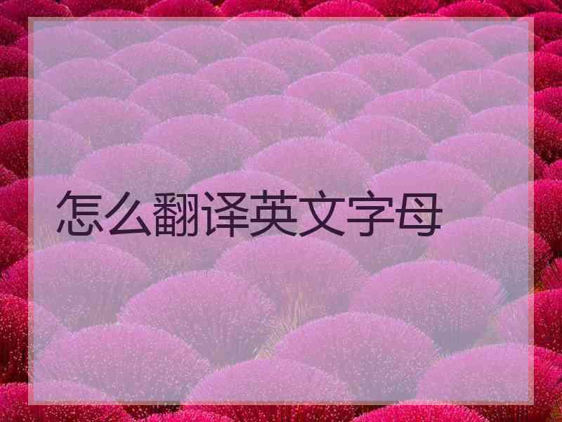 怎么翻译英文字母