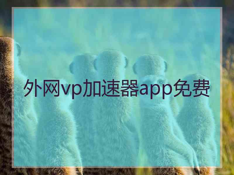 外网vp加速器app免费