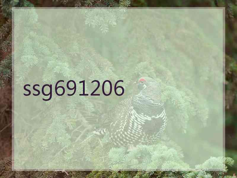 ssg691206
