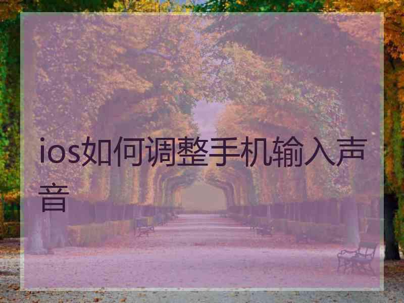 ios如何调整手机输入声音