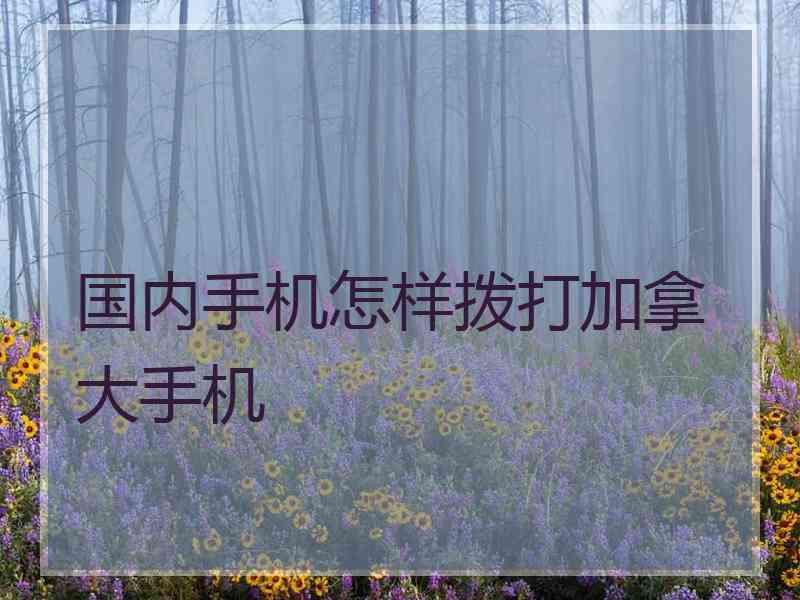 国内手机怎样拨打加拿大手机