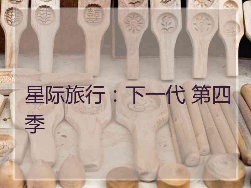 星际旅行：下一代 第四季