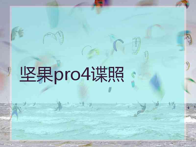 坚果pro4谍照