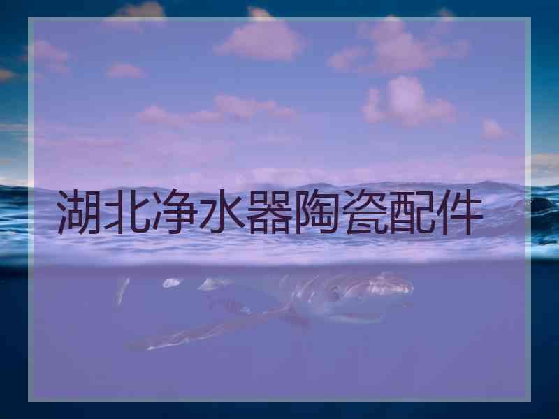 湖北净水器陶瓷配件