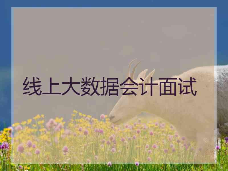 线上大数据会计面试