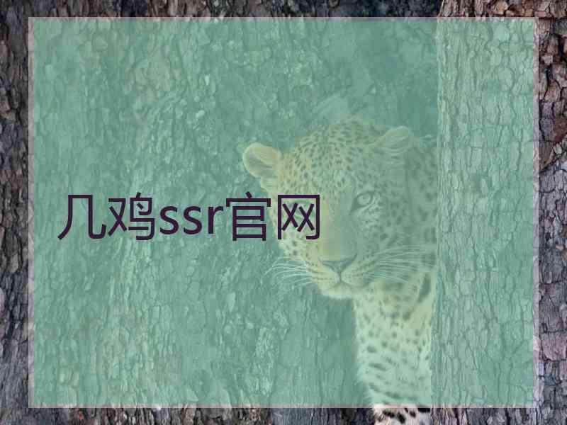 几鸡ssr官网