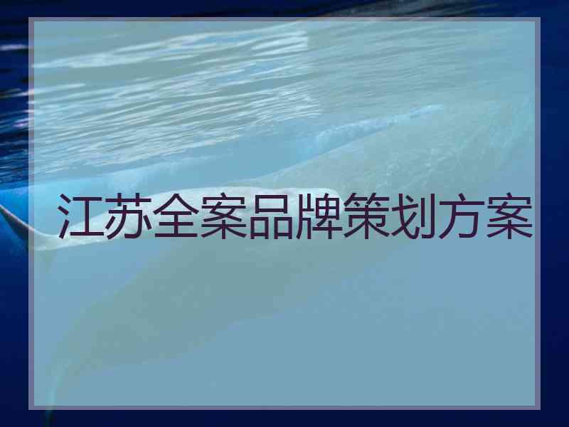 江苏全案品牌策划方案