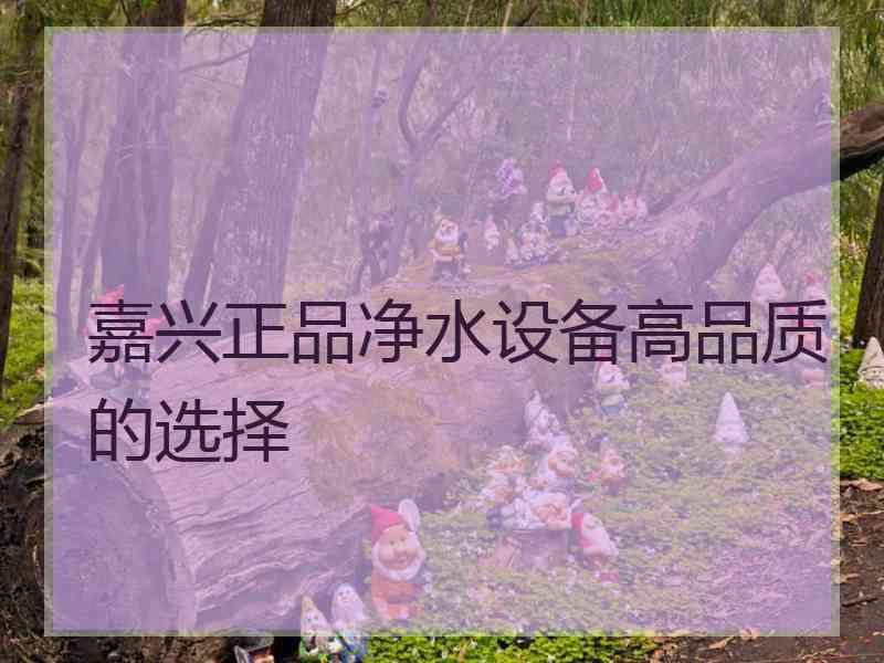 嘉兴正品净水设备高品质的选择
