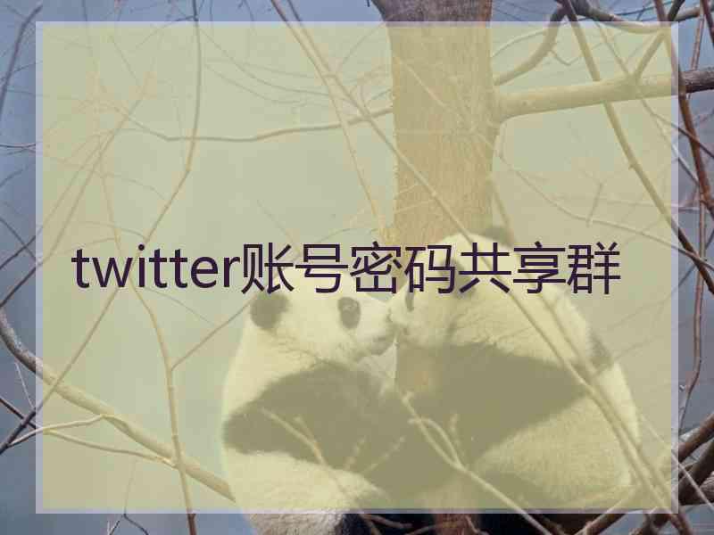 twitter账号密码共享群