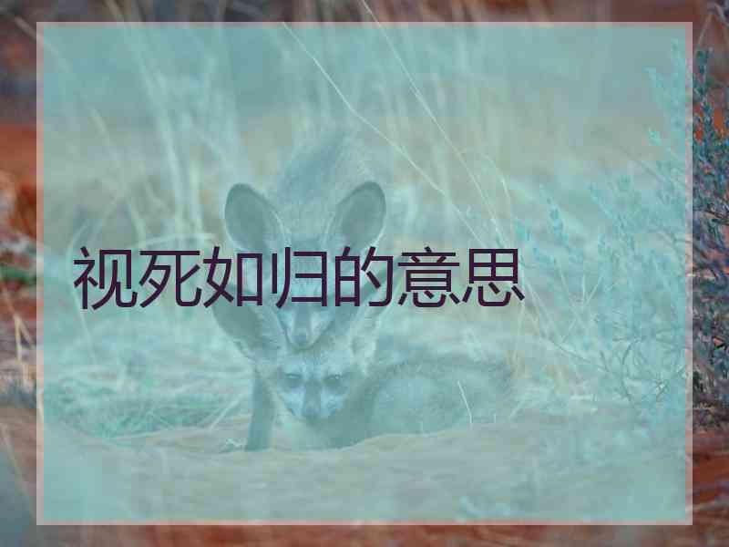 视死如归的意思