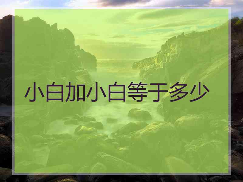 小白加小白等于多少