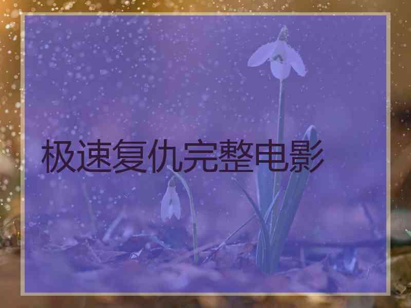 极速复仇完整电影