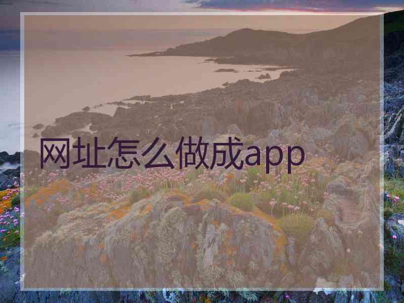 网址怎么做成app