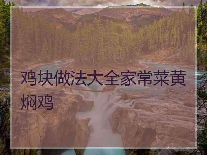 鸡块做法大全家常菜黄焖鸡