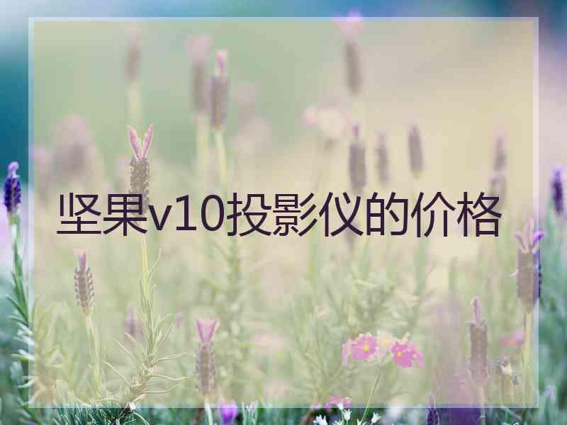 坚果v10投影仪的价格