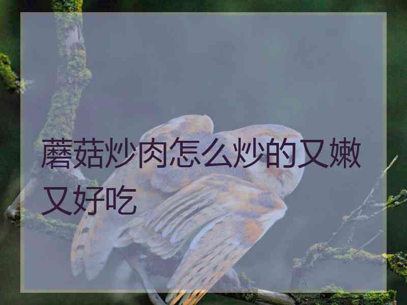 蘑菇炒肉怎么炒的又嫩又好吃