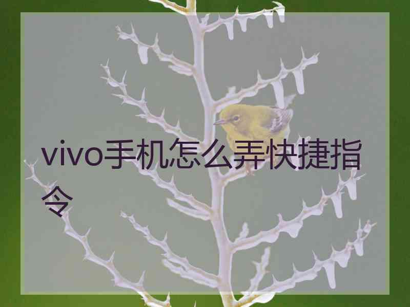 vivo手机怎么弄快捷指令