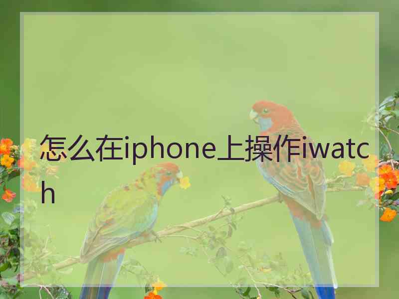 怎么在iphone上操作iwatch