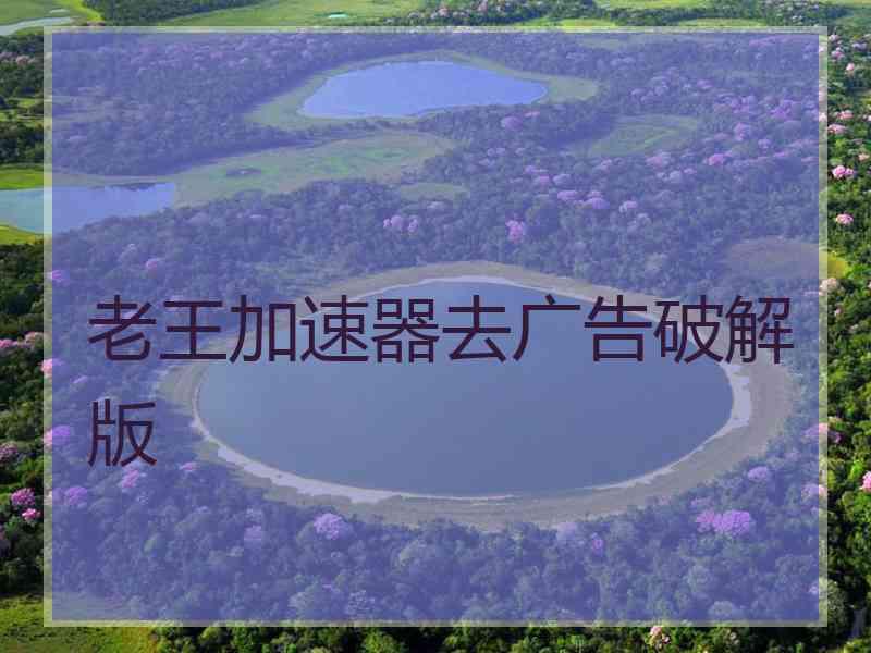 老王加速器去广告破解版