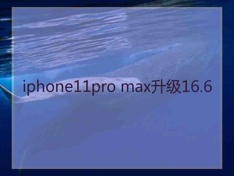 iphone11pro max升级16.6