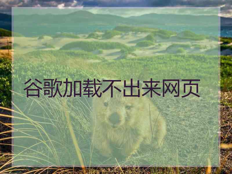 谷歌加载不出来网页