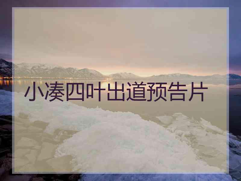 小凑四叶出道预告片