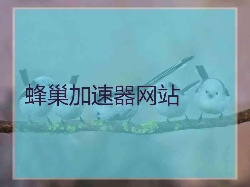 蜂巢加速器网站