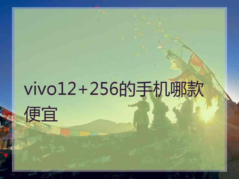 vivo12+256的手机哪款便宜