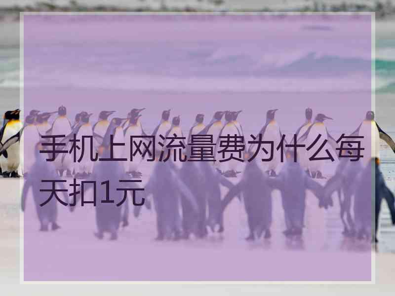 手机上网流量费为什么每天扣1元
