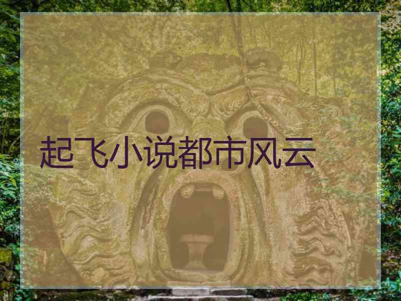 起飞小说都市风云