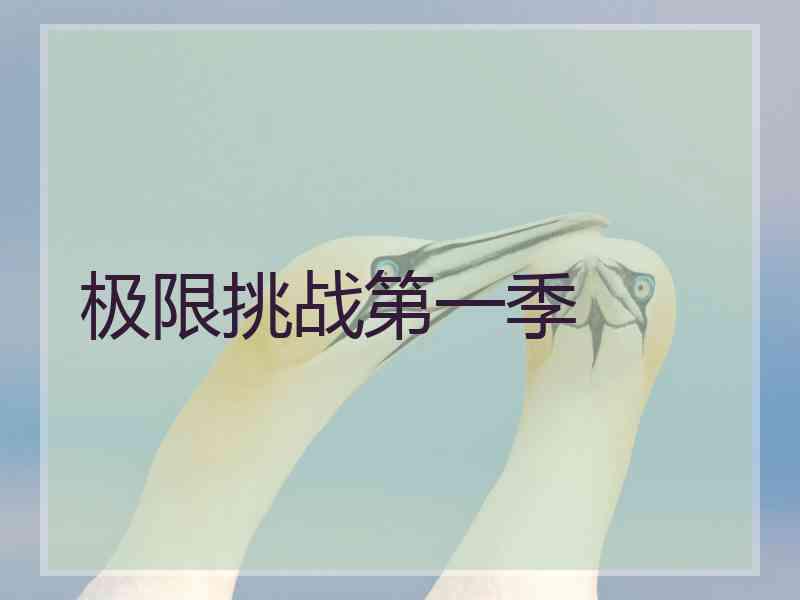 极限挑战第一季