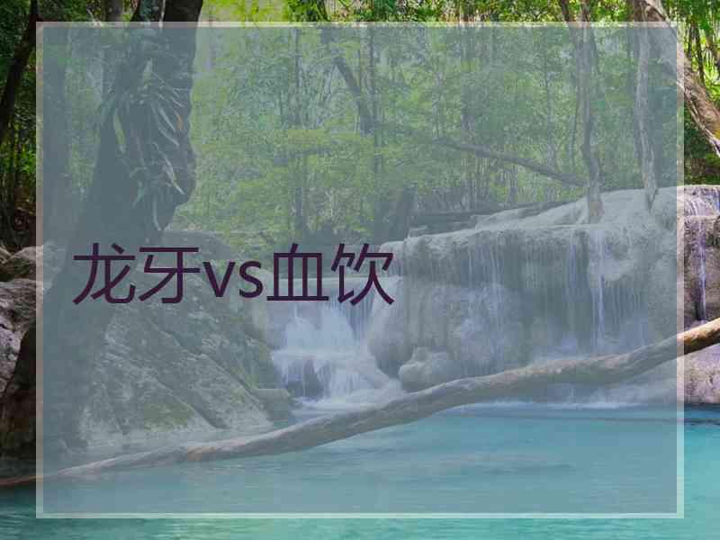 龙牙vs血饮