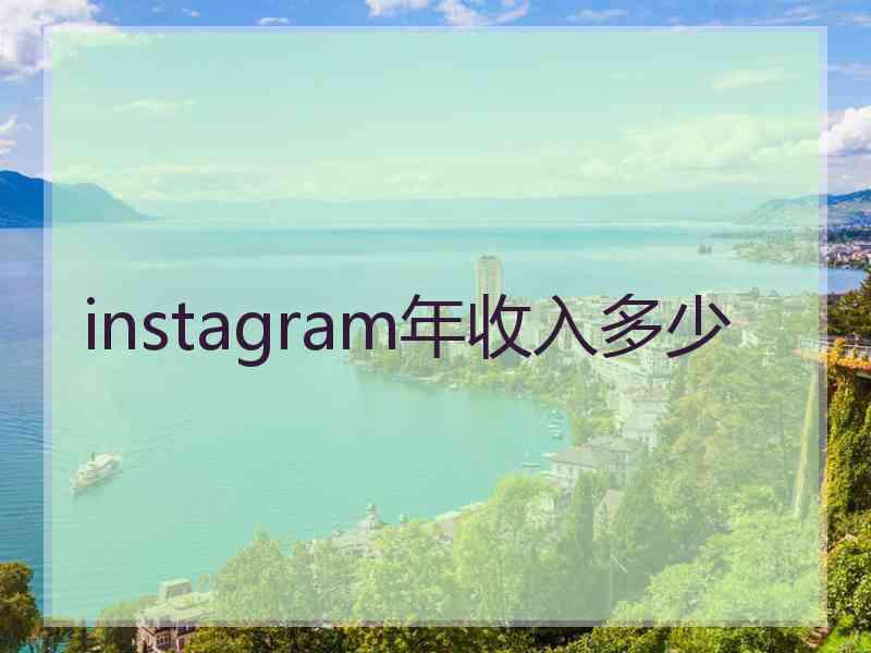 instagram年收入多少