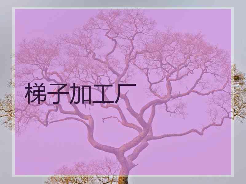 梯子加工厂