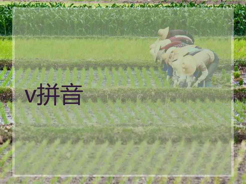 v拼音