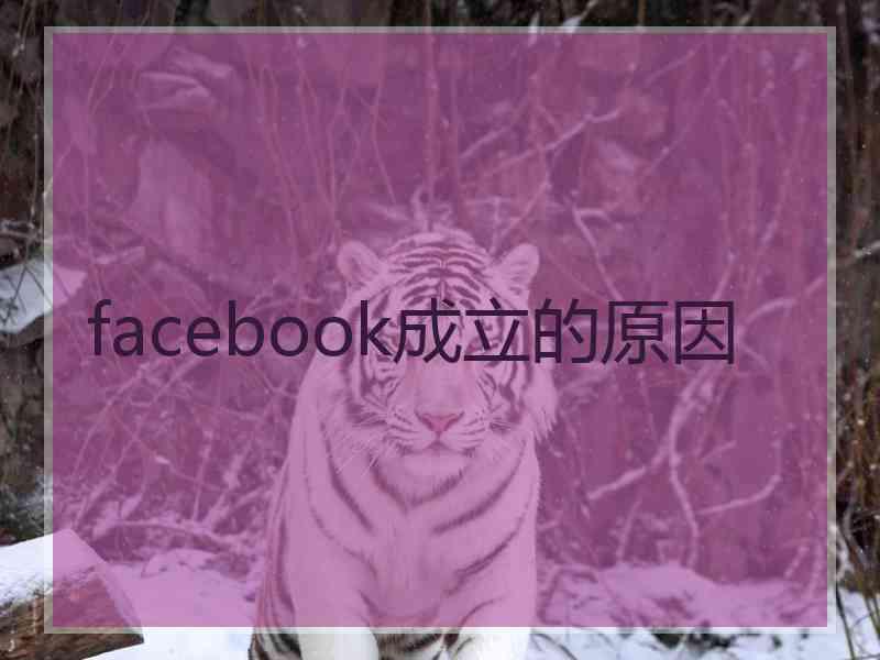 facebook成立的原因