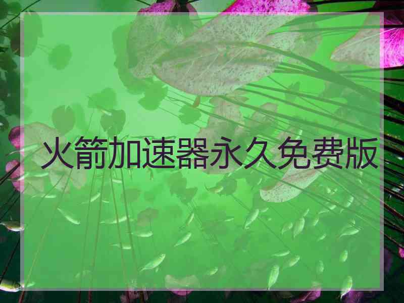 火箭加速器永久免费版