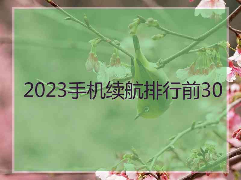2023手机续航排行前30