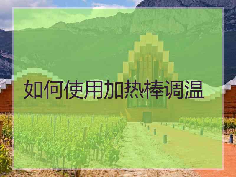 如何使用加热棒调温