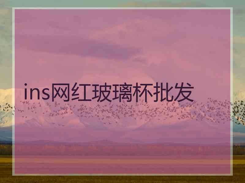 ins网红玻璃杯批发