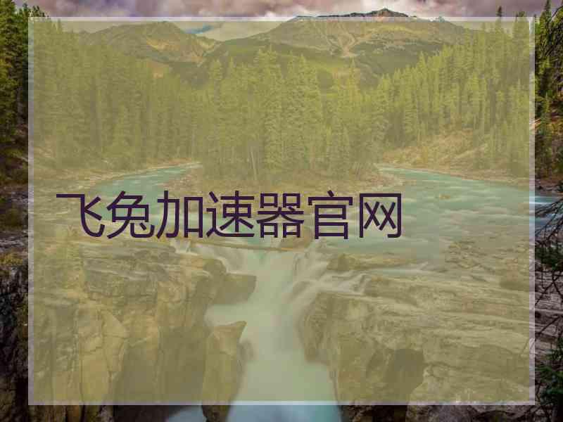 飞兔加速器官网