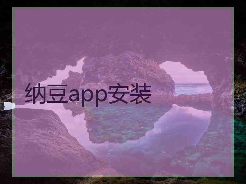 纳豆app安装