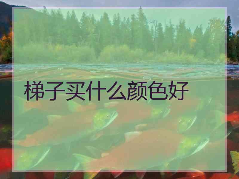 梯子买什么颜色好