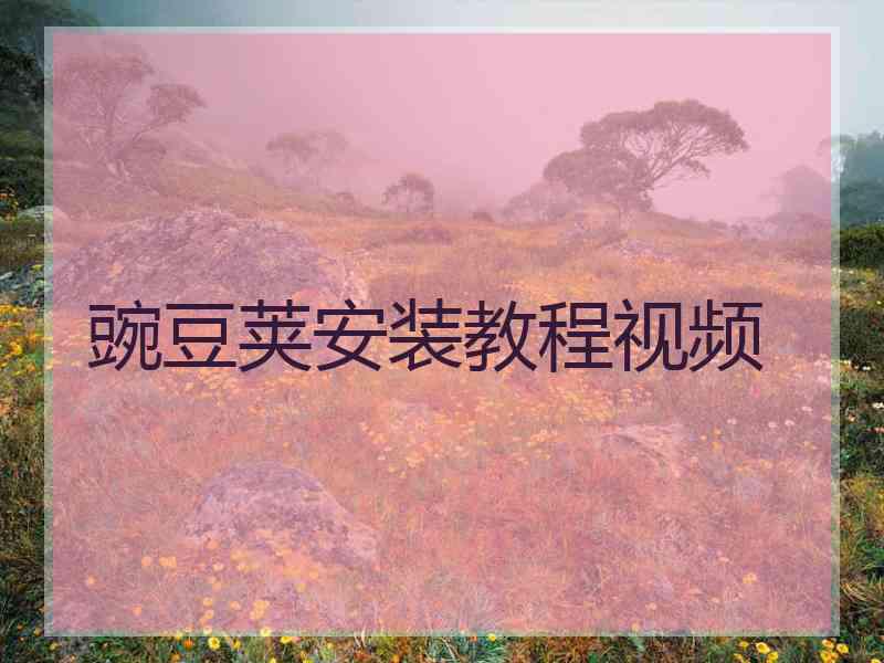 豌豆荚安装教程视频
