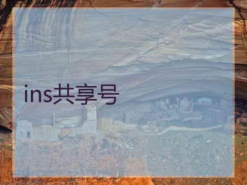 ins共享号