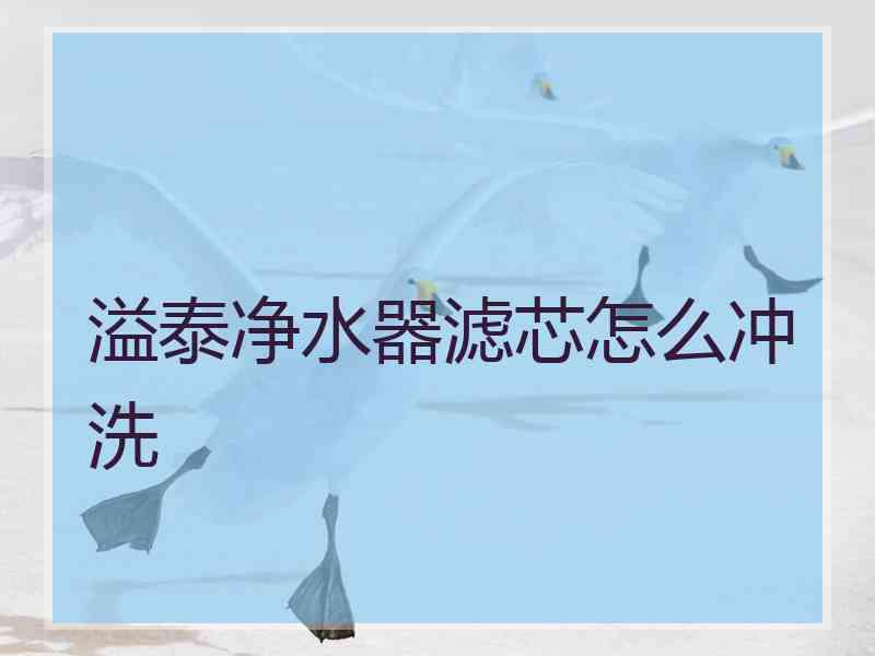 溢泰净水器滤芯怎么冲洗